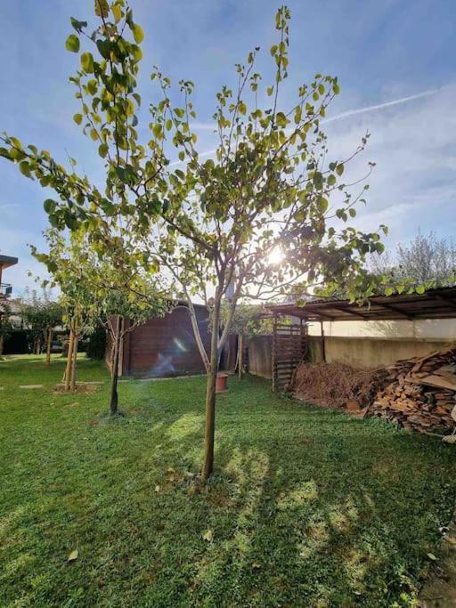 Barberinorelax Holiday home Barberino di Mugello